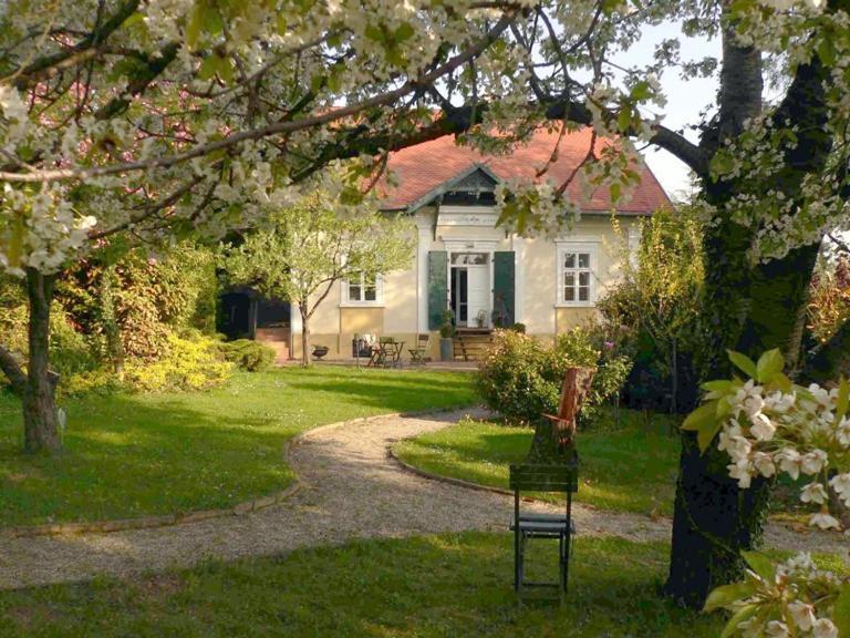Villa Mimi Sopron Eksteriør bilde